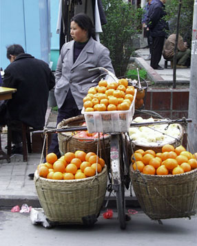 Chinese Pharmacy